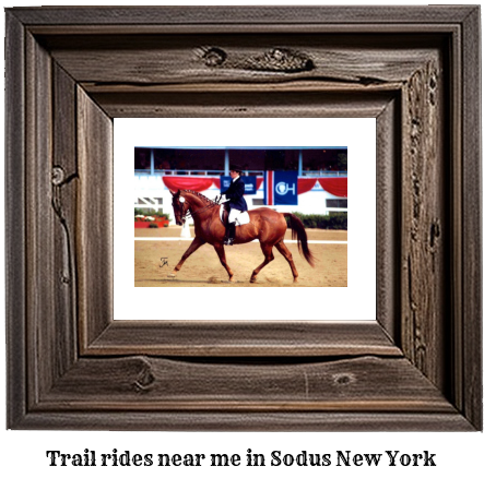 trail rides near me in Sodus, New York